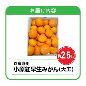 ふるさと納税 みかん 果物 フルーツ オリジナル品種 【訳あり】ご家庭用小原紅早生みかん(大玉)　約2.5kg【10月下旬〜1月下旬配送予定】【T006-7.. 香川県高松市｜furunavi｜03