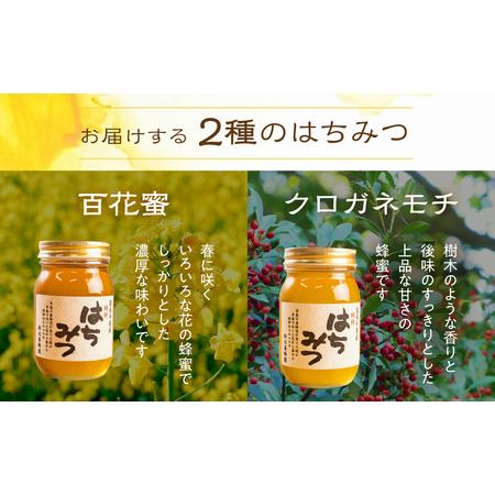 ふるさと納税 国産 純粋 無添加 完熟 はちみつ 蜂蜜 600g 2種セット 鈴木養蜂園 愛知県田原市の画像
