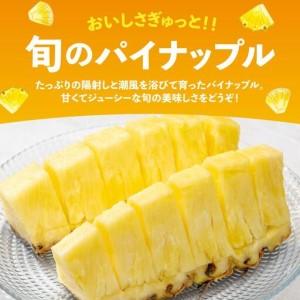 ふるさと納税 【訳あり】 石垣島産 パイナップル 詰め合わせ 約4kg (3〜10個)《2026年4月下旬から発送》 | ふるさと納税 パイナップル 産地直送 .. 沖縄県石垣市