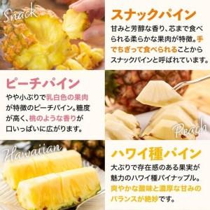 ふるさと納税 【訳あり】 石垣島産 パイナップル 詰め合わせ 約4kg (3〜10個)《2026年4月下旬から発送》 | ふるさと納税 パイナップル 産地直送 .. 沖縄県石垣市