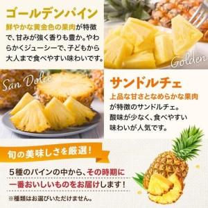 ふるさと納税 【訳あり】 石垣島産 パイナップル 詰め合わせ 約4kg (3〜10個)《2026年4月下旬から発送》 | ふるさと納税 パイナップル 産地直送 .. 沖縄県石垣市