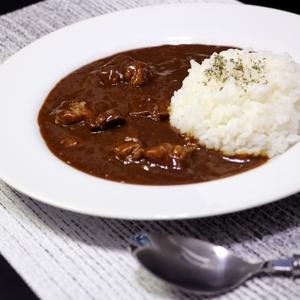 ふるさと納税 松阪牛レトルトカレー10食セット カレー レトルトカレー レトルトカレーセット 松阪牛カレー 和牛カレー 辛口カレー スパイスカレ.. 大阪府泉南市 