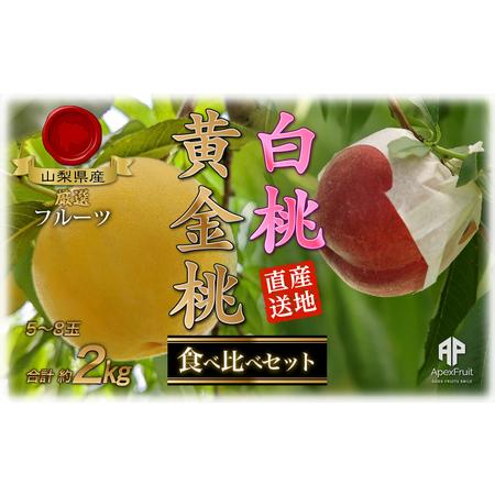 ふるさと納税 ＜2026年発送先行予約＞南アルプス市産 大玉の桃と黄金桃の食べ比べセット 約2kg（4〜6玉） ALPDD015 山梨県南アルプス市の画像