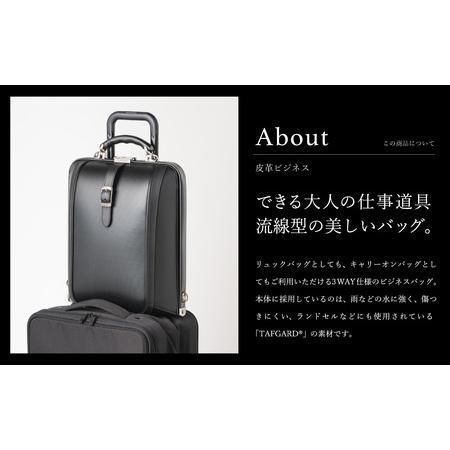 ふるさと納税 豊岡鞄 ARTPHERE アートフィアー ニューダレス タッチタフ F4 DS4-TT グリーン / ダレスバッグ キャリーオンバッグ ビジネスバッグ.. 兵庫県豊岡市の画像