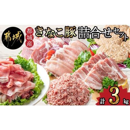 宮崎県都城市 豚肉ふるさと納税 「きなこ豚」詰合せ3kg_MA-1206 宮崎県都城市