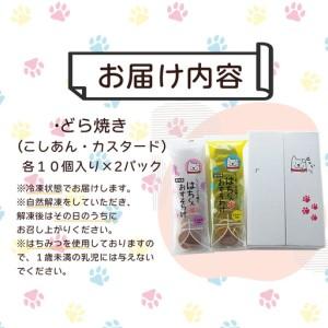 ふるさと納税 60P5606 冷凍しっとりどら焼きはちくん2種セット（こしあん・カスタード）10個入り×各１パック計20個 秋田県大館市の画像