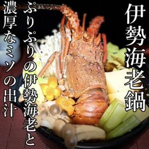 ふるさと納税 【 予約受付 令和8年9月16日以降発送 】活伊勢海老 (軍手付き) 2〜6尾 約1.5kg【イセエビ 伊勢海老】 高知県室戸市_1