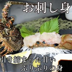 ふるさと納税 【 予約受付 令和8年9月16日以降発送 】活伊勢海老 (軍手付き) 2〜6尾 約1.5kg【イセエビ 伊勢海老】 高知県室戸市_3