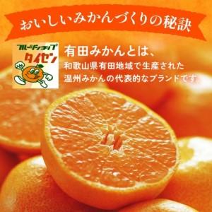 ふるさと納税 【先行予約】【ご家庭用】和歌山有田みかん約5kg(2L、3Lサイズ)【美浜町】 | みかん 和歌山県美浜町 |  | 02
