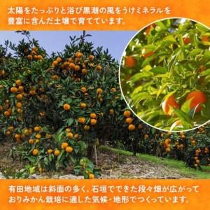 ふるさと納税 【先行予約】【ご家庭用】和歌山有田みかん約5kg(2L、3Lサイズ)【美浜町】 | みかん 和歌山県美浜町 |  | 03