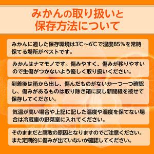 ふるさと納税 【先行予約】【ご家庭用】和歌山有田みかん約5kg(2L、3Lサイズ)【美浜町】 | みかん 和歌山県美浜町 |  | 04