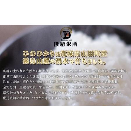 【数量限定アウトレット品】 ふるさと納税 都城産ひのひかり つきたて山田米15.5kg定期便(5ヶ月)_TAC5-3402_(都城市) お米 宮崎県都城市山田町産ヒノヒカリ チャック.. 宮崎県都城市 【Y1306474620】(46000円)