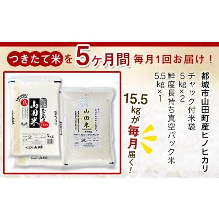 【数量限定アウトレット品】 ふるさと納税 都城産ひのひかり つきたて山田米15.5kg定期便(5ヶ月)_TAC5-3402_(都城市) お米 宮崎県都城市山田町産ヒノヒカリ チャック.. 宮崎県都城市 【Y1306474620】(46000円)