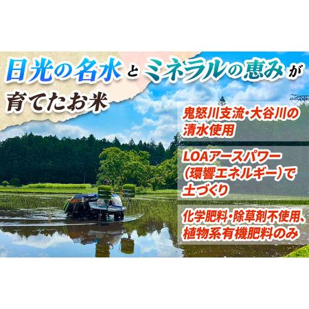 ふるさと納税 [数量限定／令和7年度米] こしひかり《日光ダイヤ舞／白米20kg (5kg×4袋)》 [0931] 栃木県日光市の画像