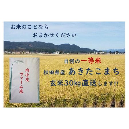 ふるさと納税 米 令和7年産 秋田県産あきたこまち 一等米 農家直送 玄米30kg 内小友ファーム 秋田県大仙市の画像