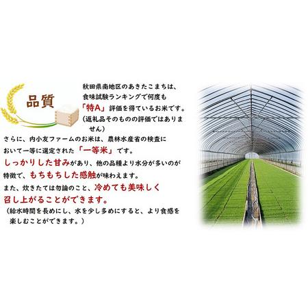 ふるさと納税 米 令和7年産 秋田県産あきたこまち 一等米 農家直送 玄米30kg 内小友ファーム 秋田県大仙市の画像