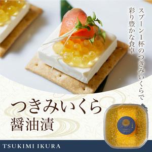 ふるさと納税 つきみいくら　醤油漬　100gパック N0116-YZA0385 宮崎県延岡市_1