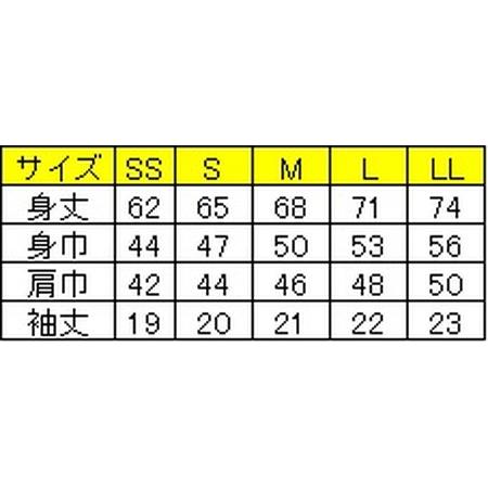 ふるさと納税 【尾張津島秋まつり】(石採祭車)オリジナルデザインポロシャツ【Mサイズ】＆トートバッグセット 愛知県津島市｜furunavi｜04