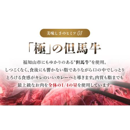 ふるさと納税 ＜無添加＞但馬牛濃厚とろすじカレー (小箱入り175g×10箱) ふるさと納税 福知山市 但馬牛 カレー 濃厚 とろすじ とろとろ .. 京都府福知山市の画像