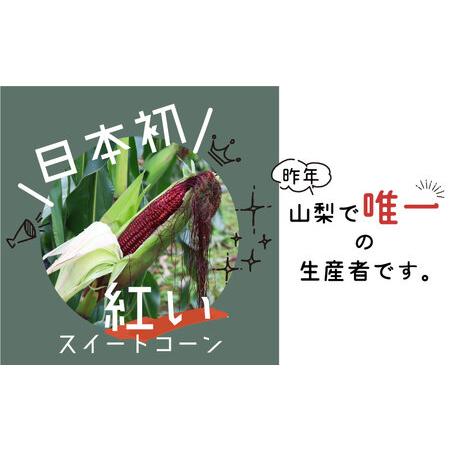 ふるさと納税 【2024年先行予約】紅いスイートコーン　大和ルージュ 山梨県都留市｜furunavi｜02