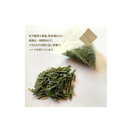 ふるさと納税 【6回定期便】ハーブ仁淀川産 自然栽培ハーブ レモングラス ハーブティー ティーバッグタイプ 2個セット 7袋入り×2個 定期便 .. 高知県土佐市