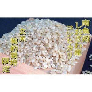ふるさと納税 【令和7年産】【玄米２０Kg】●玄米● 生産者限定 南魚沼しおざわ産コシヒカリ【銘柄米 ブランド米 玄米 こしひかり コシヒカリ .. 新潟県南魚沼市_2