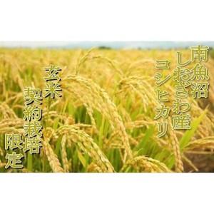 ふるさと納税 【令和7年産】【玄米２０Kg】●玄米● 生産者限定 南魚沼しおざわ産コシヒカリ【銘柄米 ブランド米 玄米 こしひかり コシヒカリ .. 新潟県南魚沼市_4