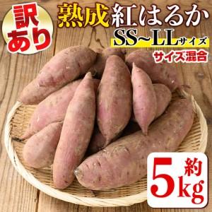 ふるさと納税 isa521 [訳あり]熟成紅はるか(約5kg・SS〜LLサイズ混合) 訳あり さつまいも 紅はるか 鹿児島 生芋 完熟 長期熟成 土付き べに.. 鹿児島県伊佐市