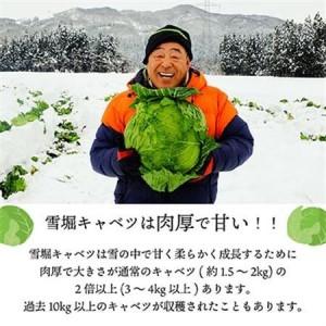 ふるさと納税 雪の中で旨みが凝縮!柔らか食感!大きな「雪掘(ゆきほり)ロールキャベツ」1kg(デミグラス2パック)【配送不可地域：離島】【1450824.. 福島県柳津町_2