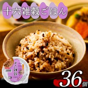 ふるさと納税 十六雑穀 ごはんパック 160g 36個 パックごはん パックご飯 ご飯パック パックライス パック 16雑穀 雑穀 米 ごはん ご飯 こめ ラ.. 大阪府松原市