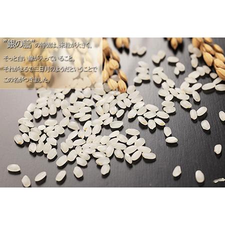 【タイムセール】 ふるさと納税 新米 銀の朏【定期便】2kg×6回【2023年産米】 ≪テレビで紹介!!幻の米≫ 皇室献上米 化学肥料不使用 いのちの壱 精米 お米 令.. 岐阜県下呂市 【W1057391573】(37230円)