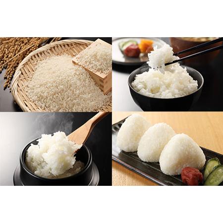 【タイムセール】 ふるさと納税 新米 銀の朏【定期便】2kg×6回【2023年産米】 ≪テレビで紹介!!幻の米≫ 皇室献上米 化学肥料不使用 いのちの壱 精米 お米 令.. 岐阜県下呂市 【W1057391573】(37230円)