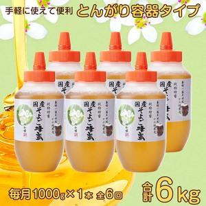 ふるさと納税 【全6回】 定期便 かの蜂 国産 そよご蜂蜜 合計6kg（とんがり容器1kgを毎月1本お届け） 蜂蜜 はちみつ ハチミツ 非加熱 国産 ボト.. 福岡県八女市の画像
