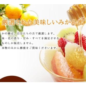 ふるさと納税 【全3回】 定期便 かの蜂 国産 みかん蜂蜜 合計1.5kg（とんがり容器500gを毎月1本お届け） 024-T016 福岡県八女市_2
