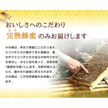ふるさと納税 【全3回】 定期便 かの蜂 国産 みかん蜂蜜 合計1.5kg（とんがり容器500gを毎月1本お届け） 024-T016 福岡県八女市_3
