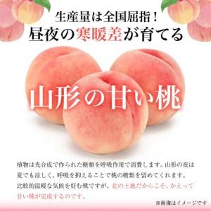 ふるさと納税 【先行予約 2026年度発送】♪フルーツ王国山形♪ 白桃・和梨セット なし デザート フルーツ 果物 くだもの 果実 食品 山形県 FSY-2554 山形県の画像
