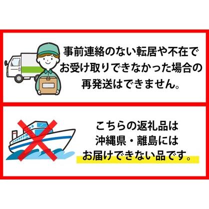 激安アウトレット ふるさと納税 【令和5年産米】2024年3月前半発送