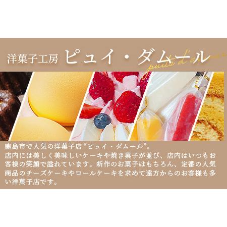 ふるさと納税 スペシャルセット【素材の味を生かした鹿島の焼き菓子】洋菓子店【ピュイ・ダムール】B-678 佐賀県鹿島市 |  | 04