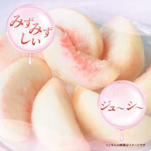 ふるさと納税 2026年発送 先行予約 「浅間水蜜桃プレミアム」 もも あかつき 秀品 約2kg 5〜9玉 ふるさと納税 果物 桃 フルーツ モモ 果肉  長野.. 長野県小諸市の画像