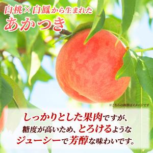 ふるさと納税 2026年発送 先行予約 「浅間水蜜桃プレミアム」 もも あかつき 秀品 約2kg 5〜9玉 ふるさと納税 果物 桃 フルーツ モモ 果肉  長野.. 長野県小諸市の画像