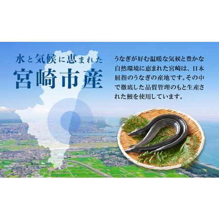 ふるさと納税 宮崎県宮崎市産　うなぎの蒲焼　約800g（約160g×5尾）タレ・山椒セット 鰻 ウナギ 丑の日 宮崎県宮崎市_1