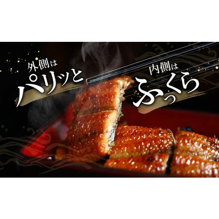 ふるさと納税 宮崎県宮崎市産　うなぎの蒲焼　約800g（約160g×5尾）タレ・山椒セット 鰻 ウナギ 丑の日 宮崎県宮崎市_2