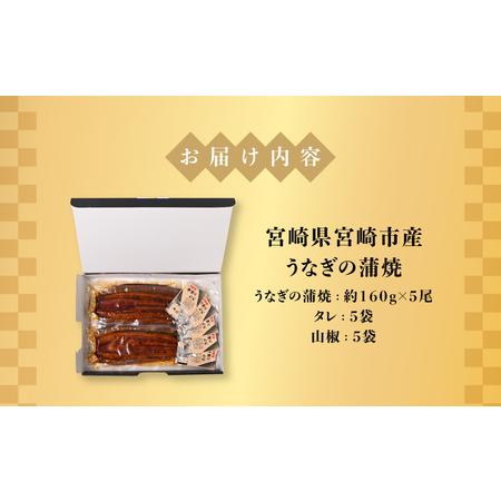 ふるさと納税 宮崎県宮崎市産　うなぎの蒲焼　約800g（約160g×5尾）タレ・山椒セット 鰻 ウナギ 丑の日 宮崎県宮崎市_4