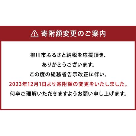 ふるさと納税 上質な座り心地と天然木の温かな空間を演出する ソファ / ウォールナット材 または オーク材 【HIRASHIMA LIBERIA PLUS Corner Sof.. 福岡県柳川市｜furunavi｜05