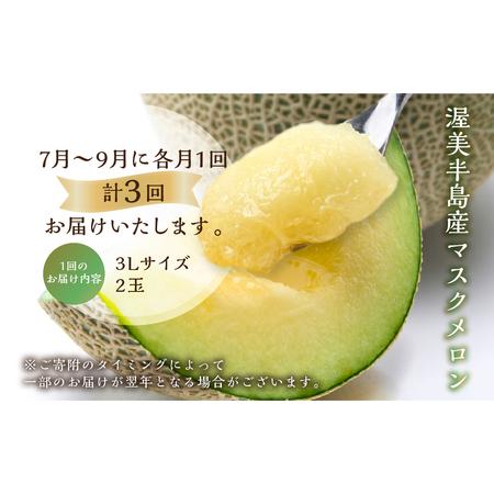 メロン2 極上エメラルドメロン2個入り【送料込】 | 白木果樹園