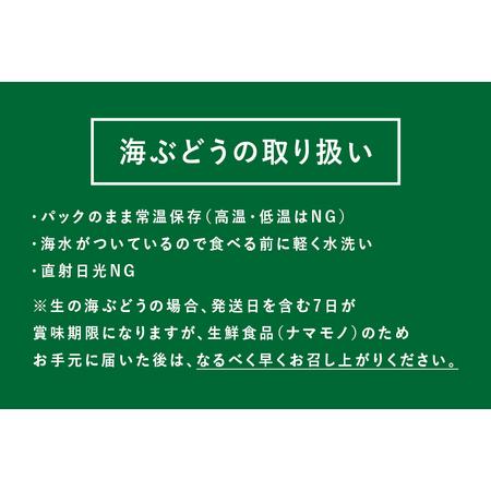 ふるさと納税 【訳あり】しゃきしゃき海ぶどう400g 沖縄県糸満市｜furunavi｜04