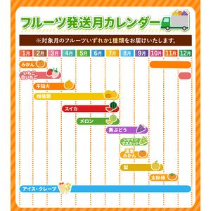 ふるさと納税 【 定期便 7回 】【フルーツ定期便】 高評価 果物 フルーツ 選べる発送回数 （いちご みかん 不知火 スイカ ぶどう メロン シャイ.. 熊本県玉名市_2