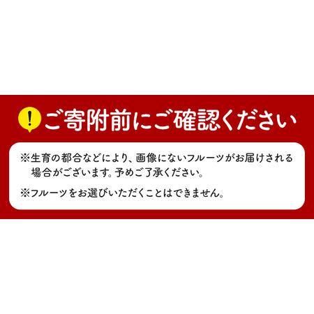 ふるさと納税 【 定期便 7回 】【フルーツ定期便】 高評価 果物 フルーツ 選べる発送回数 （いちご みかん 不知火 スイカ ぶどう メロン シャイ.. 熊本県玉名市_3