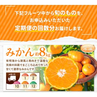 【2026年1月8日以降の発送予定】 ふるさと納税 【 定期便 8回 】 まるごと 堪能 ！ 人気 フルーツ （ いちご 白いちご みかん 不知火 スイカ メロン ぶどう シャインマスカット .. 熊本県玉名市 【TM1329193760】(46800円)
