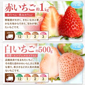 【2026年1月8日以降の発送予定】 ふるさと納税 【 定期便 8回 】 まるごと 堪能 ！ 人気 フルーツ （ いちご 白いちご みかん 不知火 スイカ メロン ぶどう シャインマスカット .. 熊本県玉名市 【TM1329193760】(46800円)